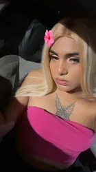 Escorts Dallas, Texas Katy