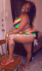 Escorts Fort Worth, Texas Stallion