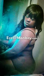 Escorts Tampa, Florida Elegant bliss