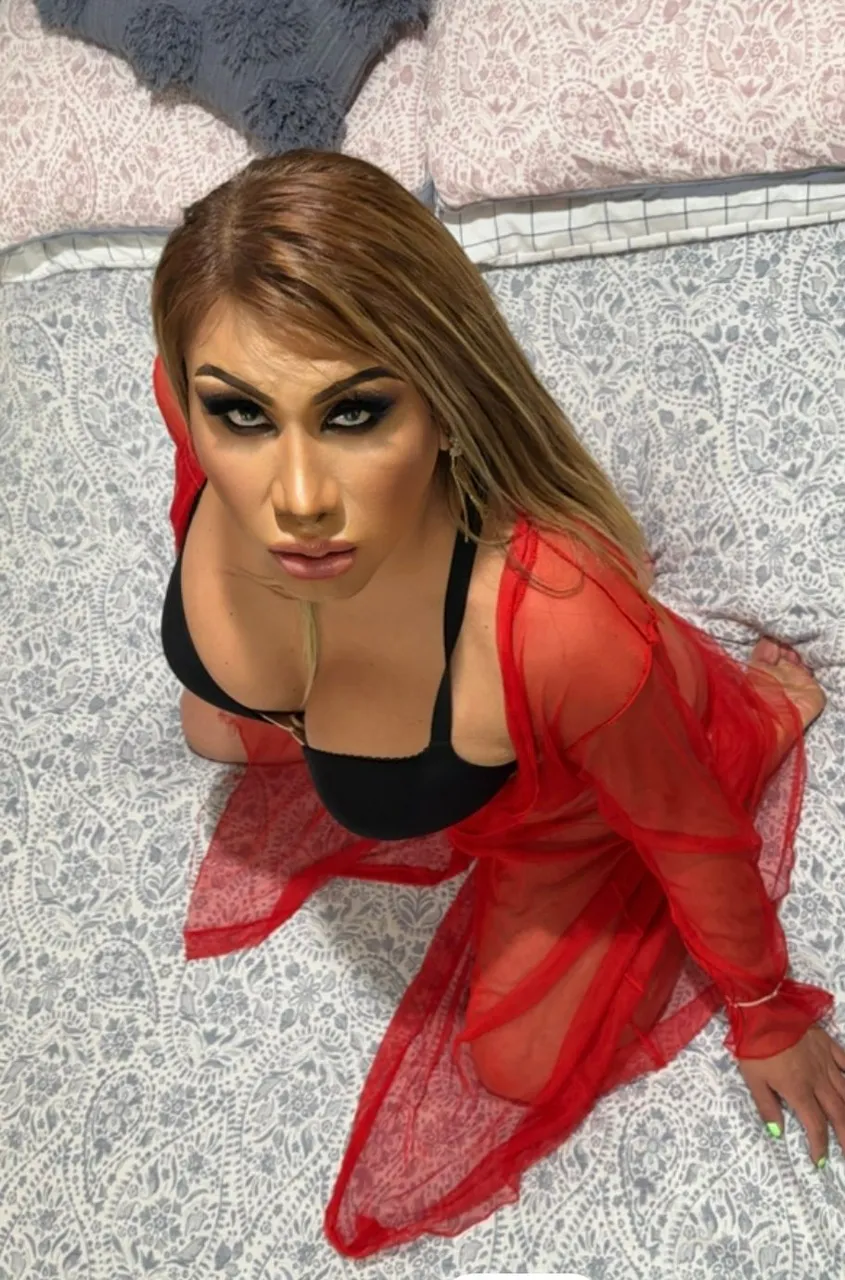 Escorts Washington, District of Columbia WOODBRIDGE