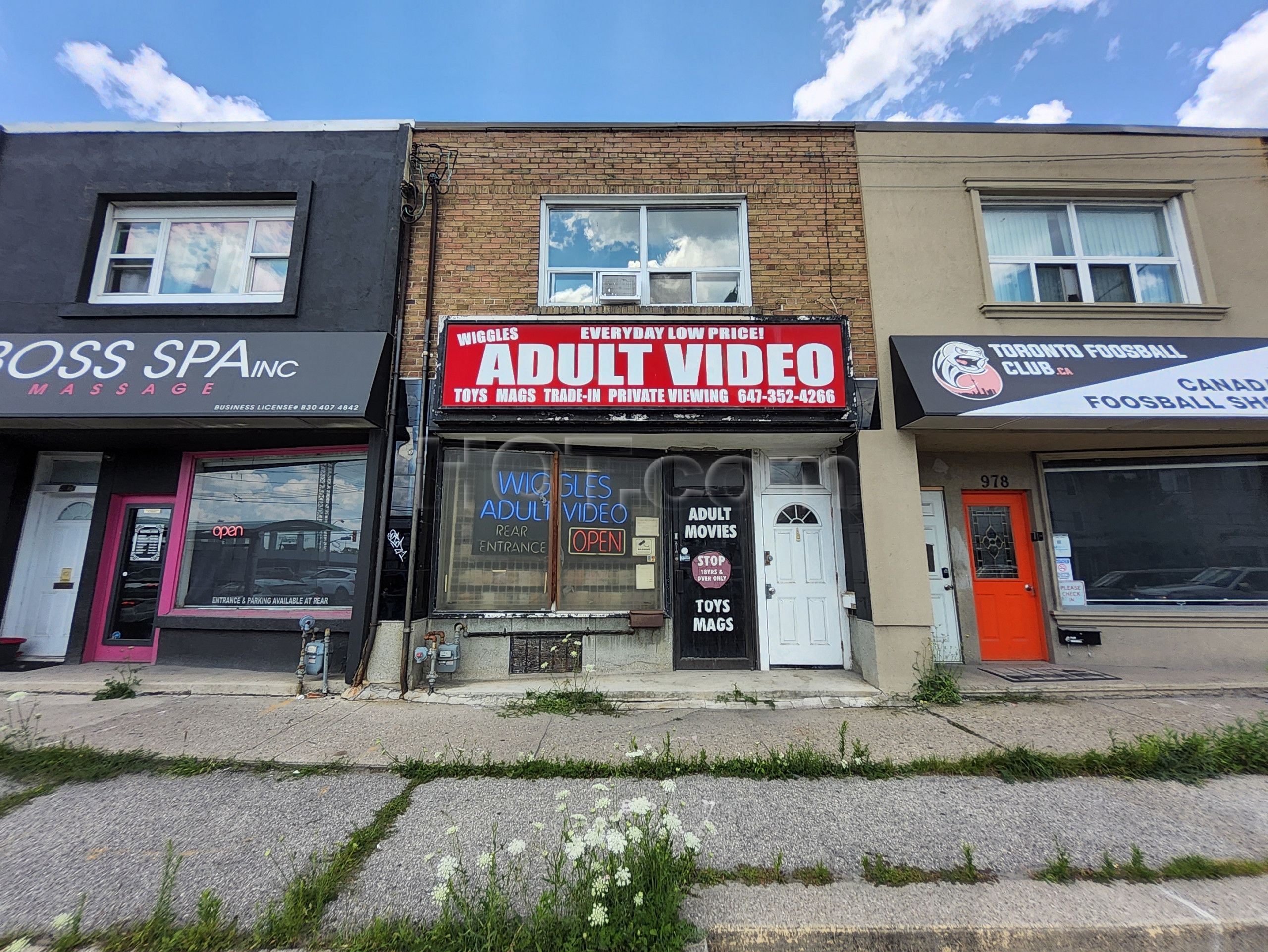 Etobicoke, Ontario Wiggles Adult Video