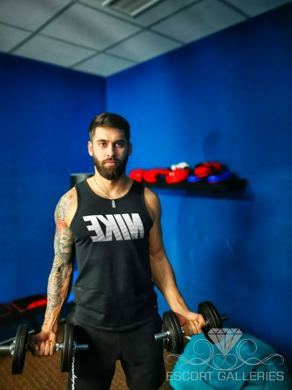 Escorts Amsterdam, Netherlands null