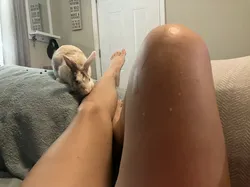 Escorts Tampa, Florida Tiffany