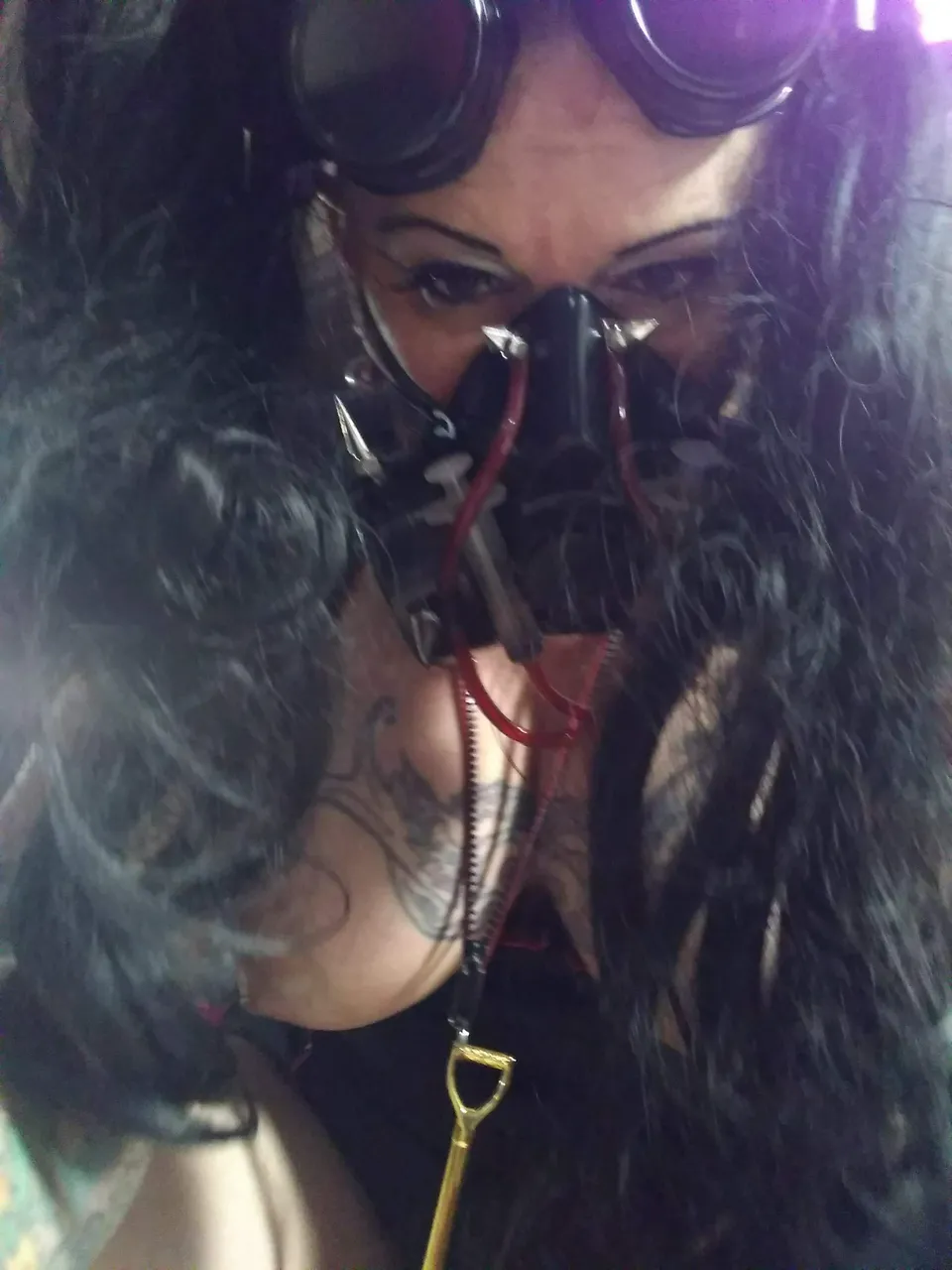 Escorts Tampa, Florida Stacy