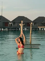 Escorts West Palm Beach, Florida Sprite Asian
