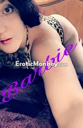Escorts Tampa, Florida Stacie