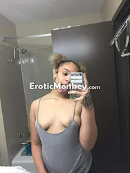 Escorts Dallas, Texas Alexis