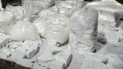 Escorts Hamilton, Ontario mary