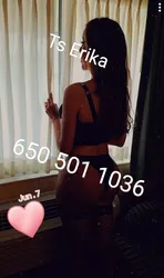 Escorts San Jose, California Ts Erika..