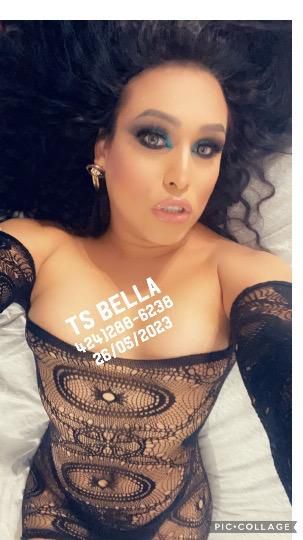 Escorts San Luis Obispo, California Hot Sexy Ts Bella visting 🍆💦 Santa Maria Now