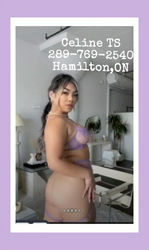 Escorts Barrie, Ontario Sexy Asian Mistress