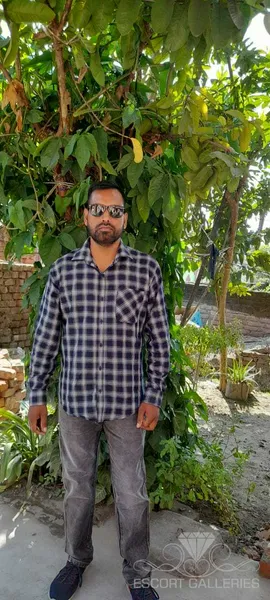 Escorts Dehra Dun, India null