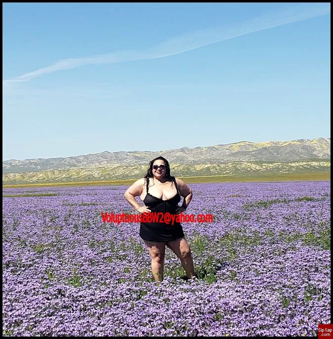 Escorts Rosemead, California voluptuousbbw9942