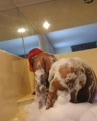 Escorts Montgomery, Alabama Cherri