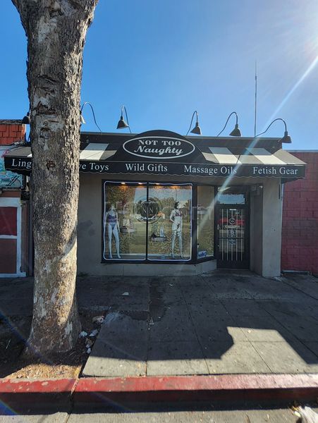 Sex Shops San Leandro, California Not Too Naughty