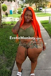 Escorts Jacksonville, Florida Lacey