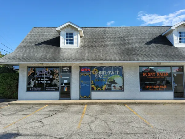 Massage Parlors Erie, Pennsylvania Sunflower Spa