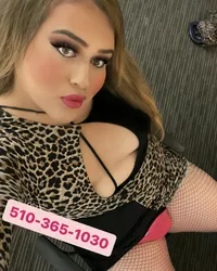 Escorts Detroit, Michigan KimBella- TROY 🥵