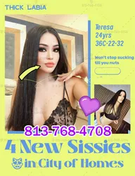 Escorts Sacramento, California New Sissies😻in City of Homes |  kitties make you feel at hometown, know how💦--