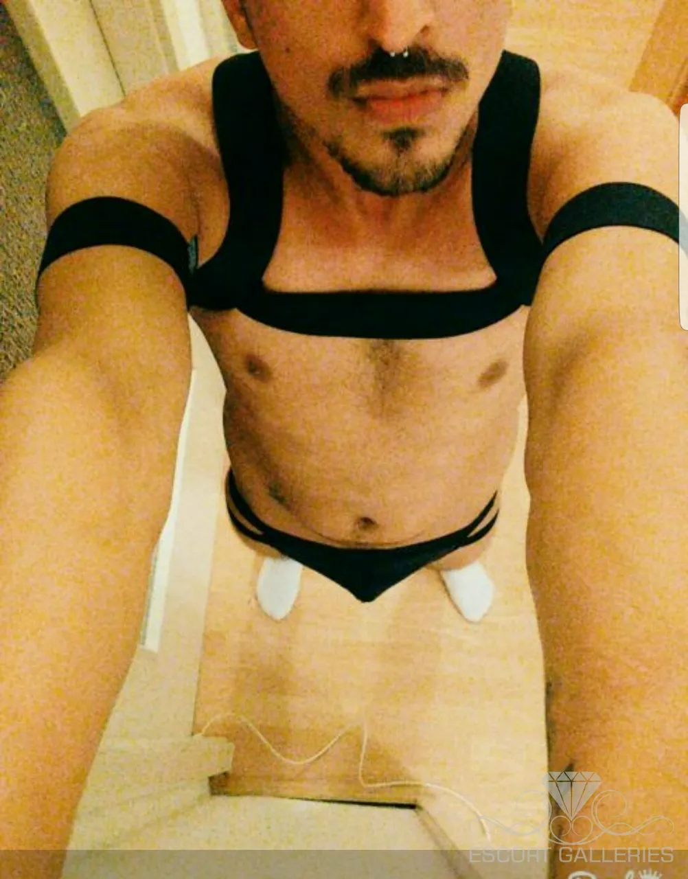 Escorts Berlin, Germany Mellow23