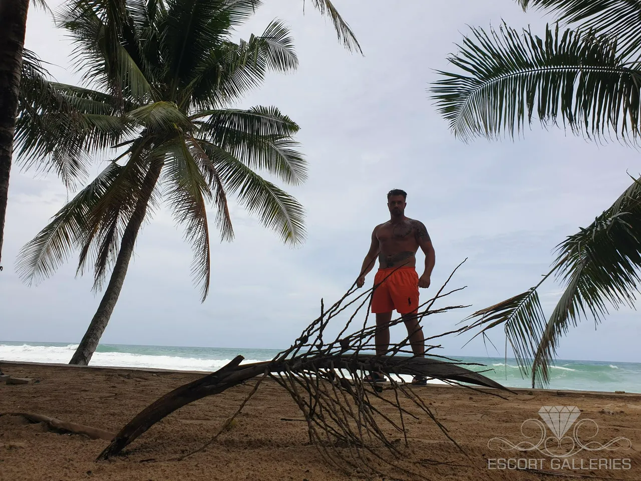 Escorts Germany null