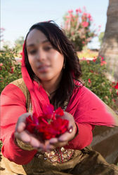 Escorts Irving, Texas Shivanikaur