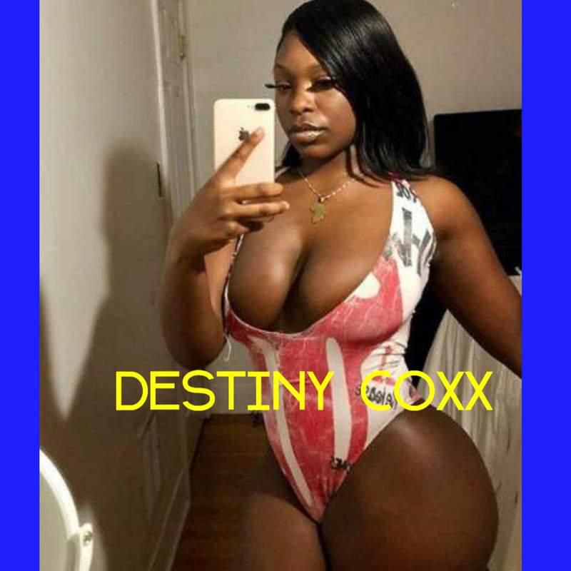 Escorts Hartford, Connecticut SHE HAS ARRIVED #POUND ON THESES CAKES😋 #A REAL TRANS#NO TEXT