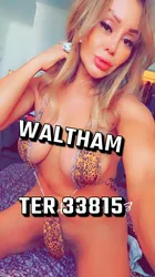 Escorts Boston, Massachusetts SAM  WALTHAM now